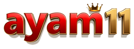ayam11