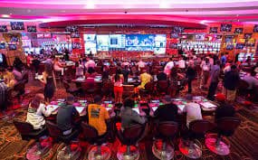Antarmuka permainan Dragon Tiger Live dengan dealer langsung dan area taruhan
